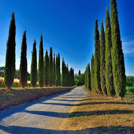 Agriturismo Boschetto Di Montiano 몬티아노 외부 사진
