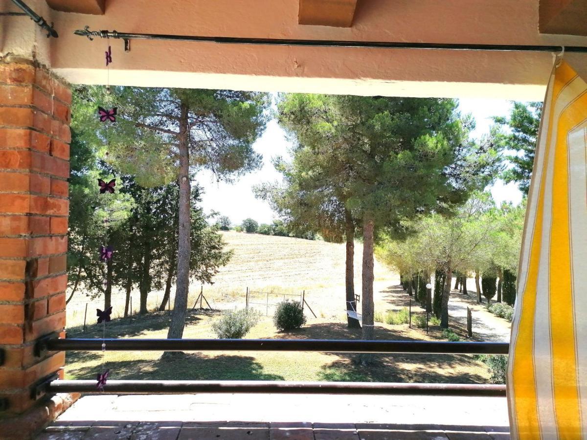 Agriturismo Boschetto Di Montiano 몬티아노 외부 사진