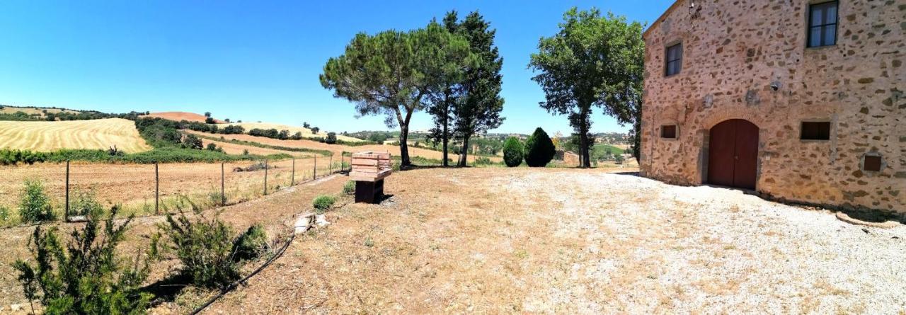 Agriturismo Boschetto Di Montiano 몬티아노 외부 사진