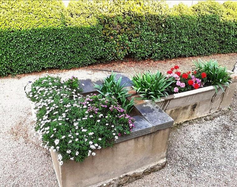 Agriturismo Boschetto Di Montiano 몬티아노 외부 사진