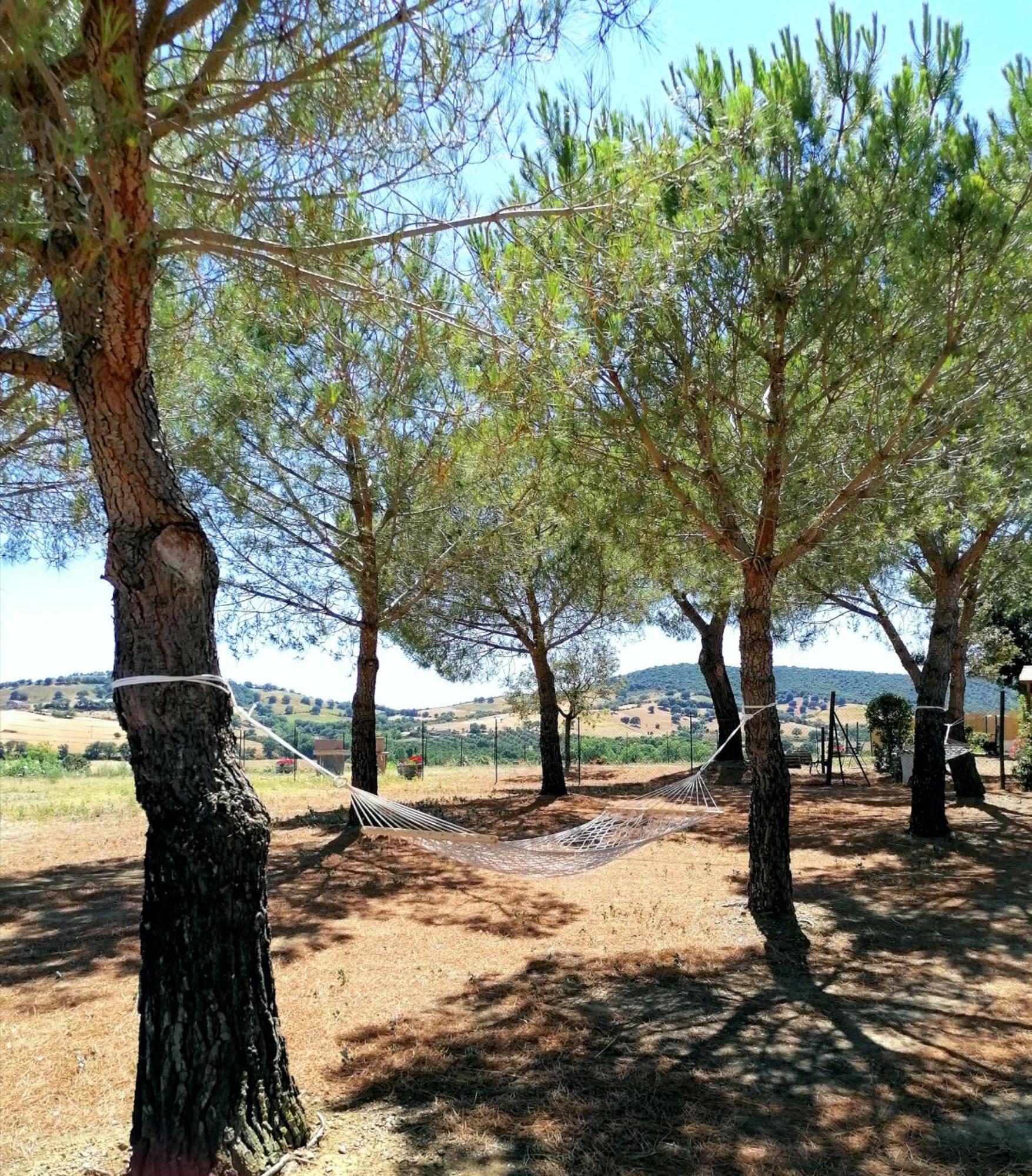 Agriturismo Boschetto Di Montiano 몬티아노 객실 사진