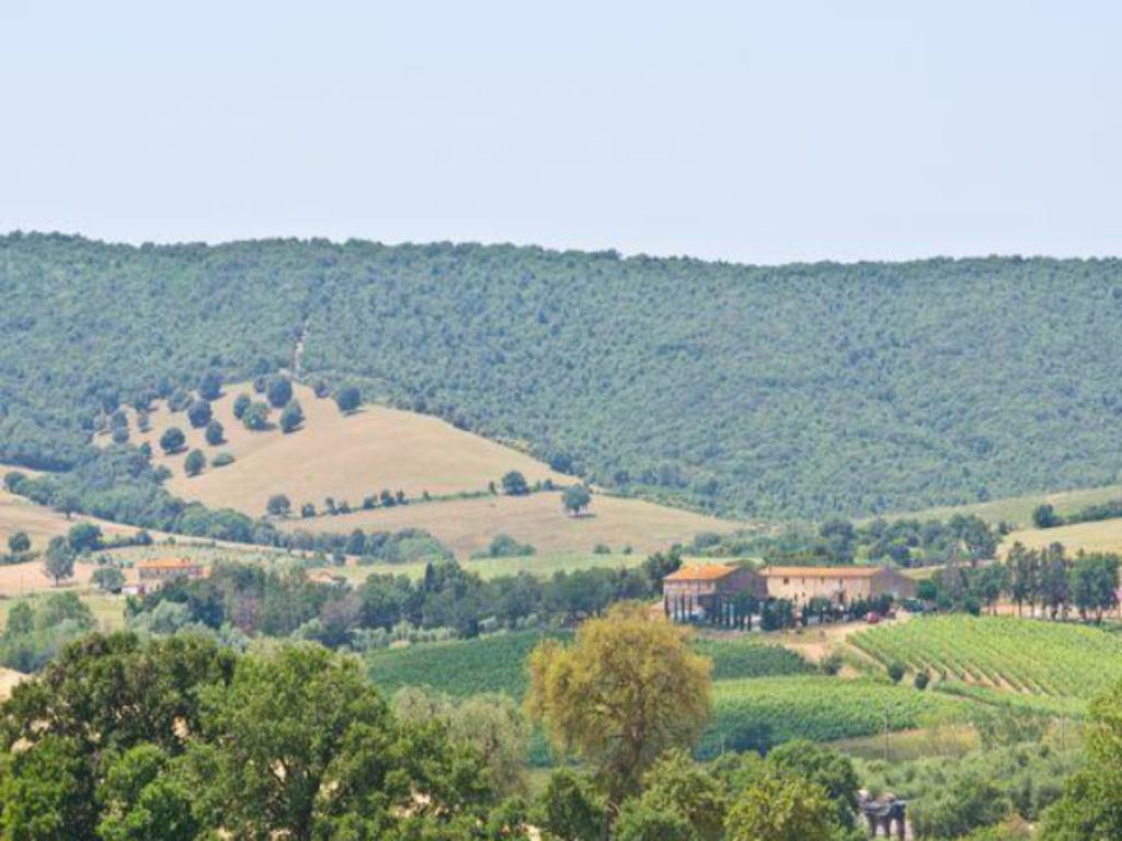 Agriturismo Boschetto Di Montiano 몬티아노 외부 사진