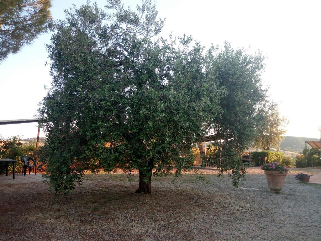 Agriturismo Boschetto Di Montiano 몬티아노 외부 사진