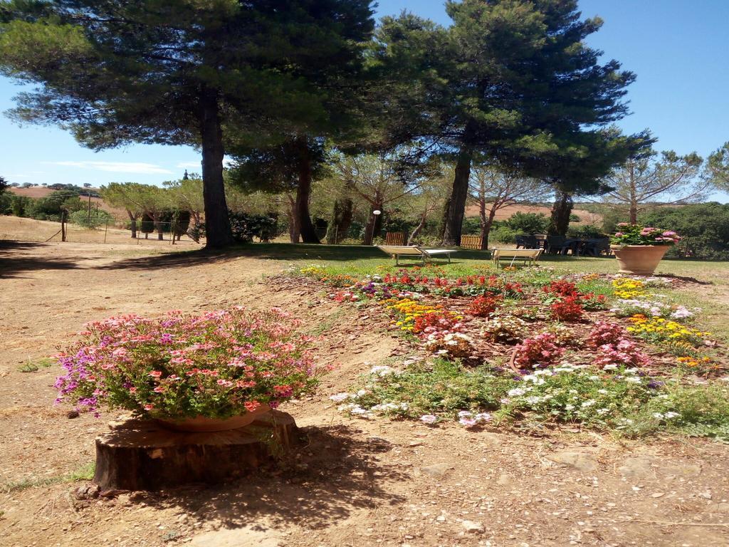 Agriturismo Boschetto Di Montiano 몬티아노 외부 사진