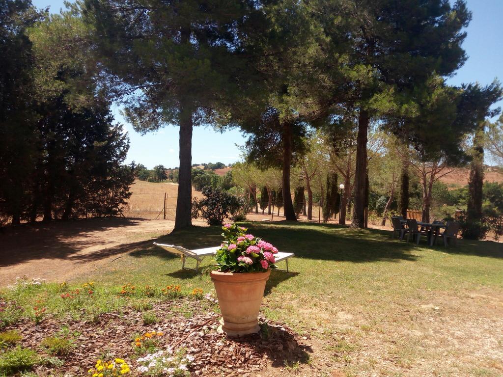 Agriturismo Boschetto Di Montiano 몬티아노 외부 사진