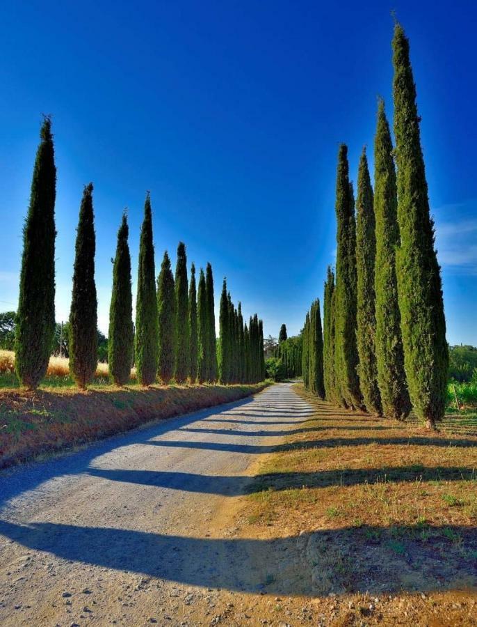 Agriturismo Boschetto Di Montiano 몬티아노 외부 사진